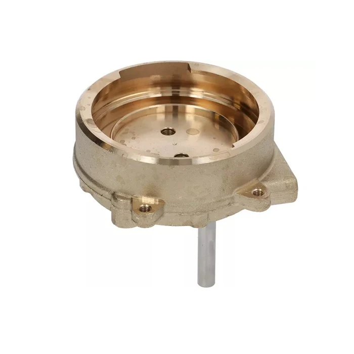 Gaggia Brass Group Body Coffee - Image 2