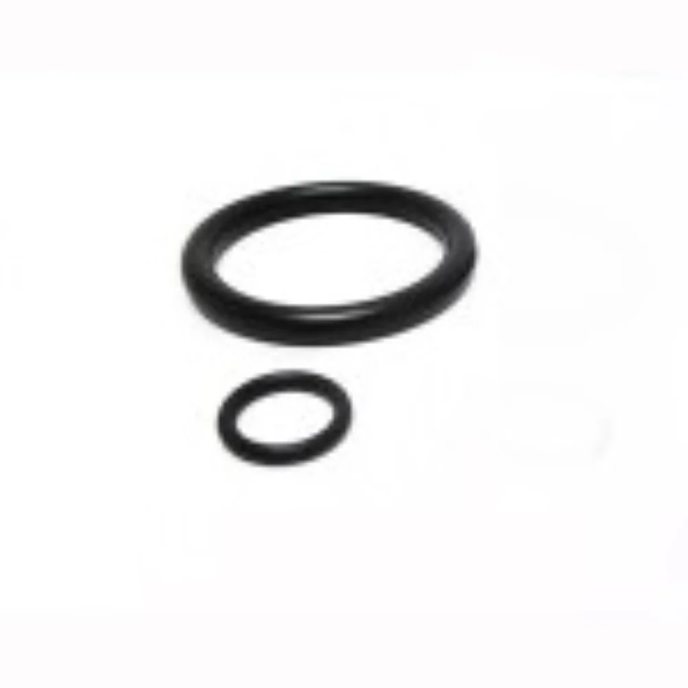 Omnipure Q series replacement O-Rings (set of 2) Filter