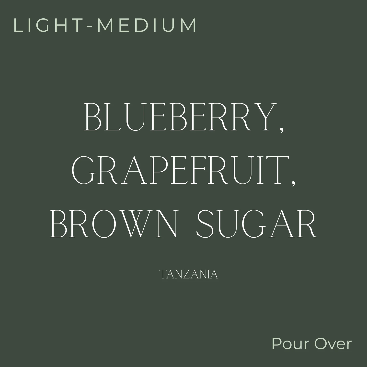 (DISCOUNT) 33 1/3 Coffee Roasters - Tanzania Coffee Beans - Image 2